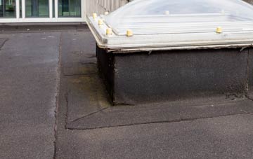 disadvantages of Hedley On The Hill flat roofs
