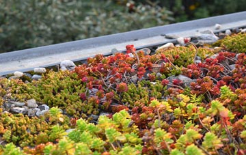 the cost of Hedley On The Hill green roof installation