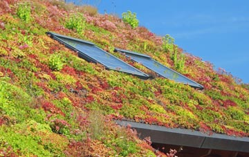 Hedley On The Hill living roof systems